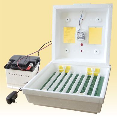 Инкубатор Квочка МІ-30-1Е-12RF